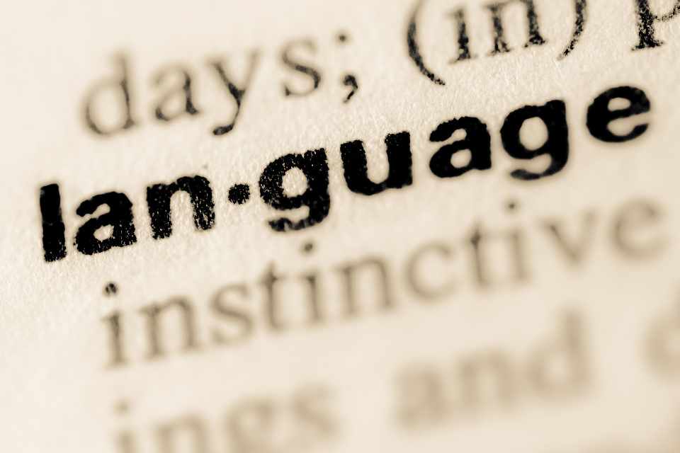 Multilingual Competence